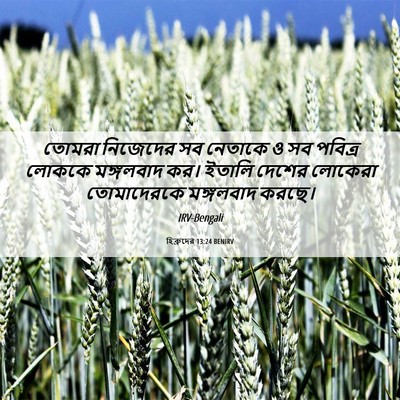 Picture 06 - হিব্রুদের 13:24 BENIRV - তোমরা নিজেদের সব - Bible Verse Picture