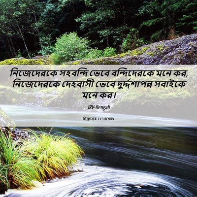 Picture 06 - হিব্রুদের 13:3 BENIRV - নিজেদেরকে সহবন্দি - Bible Verse Picture