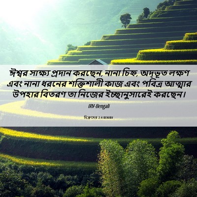 Picture 06 - হিব্রুদের 2:4 BENIRV - ঈশ্বর সাক্ষ্য - Bible Verse Picture