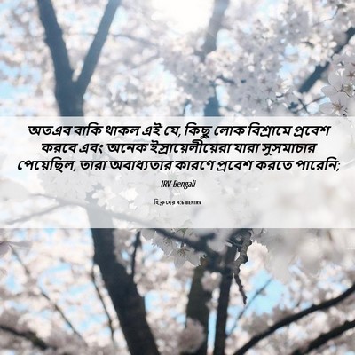 Picture 06 - হিব্রুদের 4:6 BENIRV - অতএব বাকি থাকল এই - Bible Verse Picture