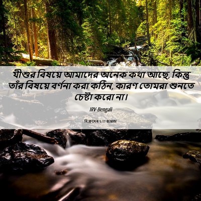 Picture 06 - হিব্রুদের 5:11 BENIRV - যীশুর বিষয়ে - Bible Verse Picture