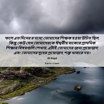 Picture 06 - হিব্রুদের 5:12 BENIRV - ফলে এত দিনের র - Bible Verse Picture