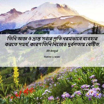 Picture 06 - হিব্রুদের 5:2 BENIRV - তিনি অজ্ঞ ও - Bible Verse Picture
