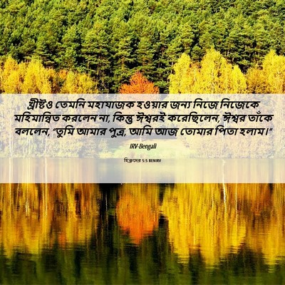 Picture 06 - হিব্রুদের 5:5 BENIRV - খ্রীষ্টও তেমনি - Bible Verse Picture