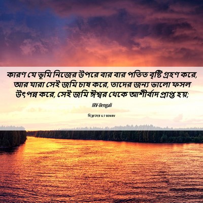 Picture 06 - হিব্রুদের 6:7 BENIRV - কারণ যে ভূমি নিজের - Bible Verse Picture