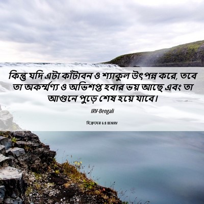 Picture 06 - হিব্রুদের 6:8 BENIRV - কিন্তু যদি এটা - Bible Verse Picture