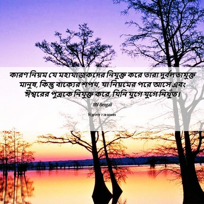 Picture 06 - হিব্রুদের 7:28 BENIRV - কারণ নিয়ম যে - Bible Verse Picture