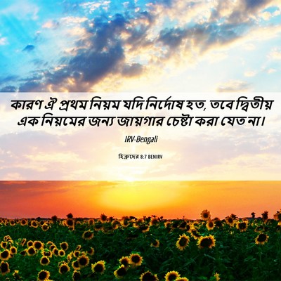 Picture 06 - হিব্রুদের 8:7 BENIRV - কারণ ঐ প্রথম নিয়ম - Bible Verse Picture