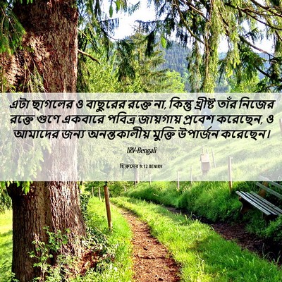 Picture 06 - হিব্রুদের 9:12 BENIRV - এটা ছাগলের ও - Bible Verse Picture