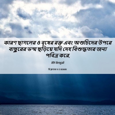 Picture 06 - হিব্রুদের 9:13 BENIRV - কারণ ছাগলের ও - Bible Verse Picture