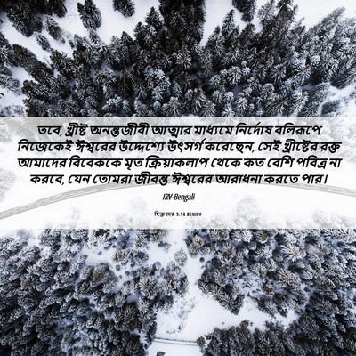Picture 06 - হিব্রুদের 9:14 BENIRV - তবে, খ্রীষ্ট - Bible Verse Picture