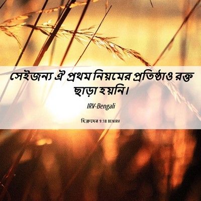 Picture 06 - হিব্রুদের 9:18 BENIRV - সেইজন্য ঐ প্রথম - Bible Verse Picture