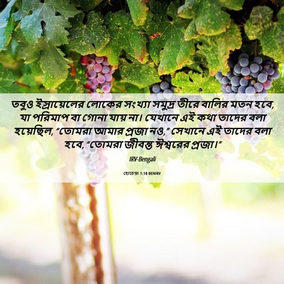 Picture 06 - হোচেয়া 1:10 BENIRV - তবুও ইস্রায়েলের - Bible Verse Picture