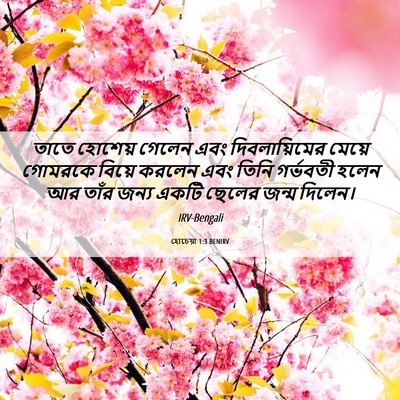 Picture 06 - হোচেয়া 1:3 BENIRV - তাতে হোশেয় গেলেন - Bible Verse Picture