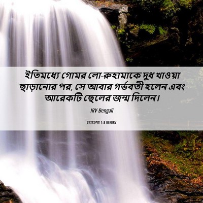 Picture 06 - হোচেয়া 1:8 BENIRV - ইতিমধ্যে গোমর - Bible Verse Picture