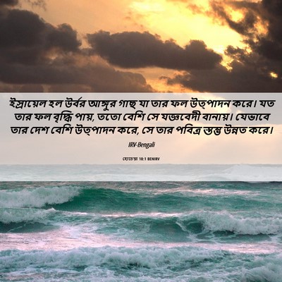 Picture 06 - হোচেয়া 10:1 BENIRV - ইস্রায়েল হল - Bible Verse Picture