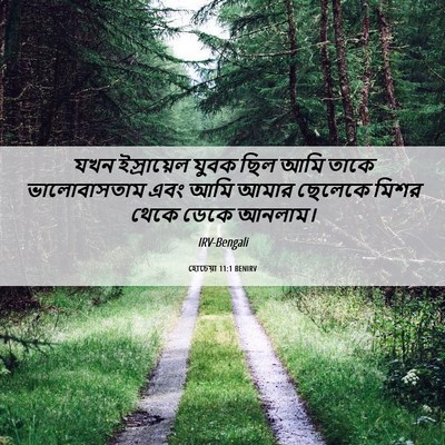 Picture 06 - হোচেয়া 11:1 BENIRV - যখন ইস্রায়েল - Bible Verse Picture