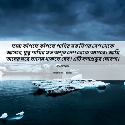 Picture 06 - হোচেয়া 11:11 BENIRV - তারা কাঁপতে - Bible Verse Picture