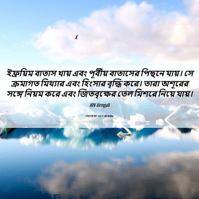 Picture 06 - হোচেয়া 12:1 BENIRV - ইফ্রয়িম বাতাস - Bible Verse Picture