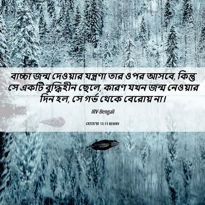 Picture 06 - হোচেয়া 13:13 BENIRV - বাচ্চা জন্ম - Bible Verse Picture