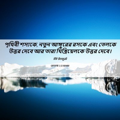 Picture 06 - হোচেয়া 2:22 BENIRV - পৃথিবী শস্যকে, - Bible Verse Picture