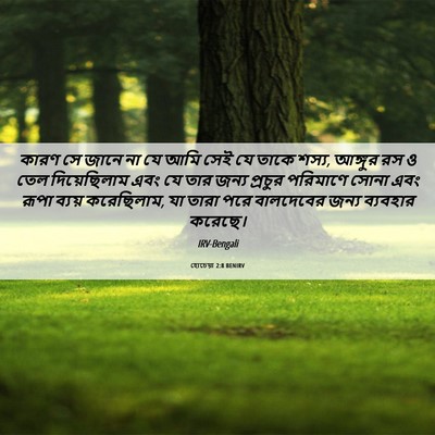 Picture 06 - হোচেয়া 2:8 BENIRV - কারণ সে জানে না যে - Bible Verse Picture