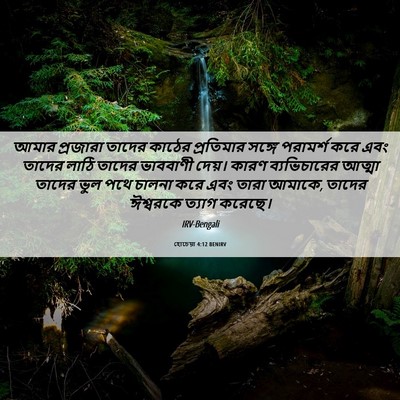 Picture 06 - হোচেয়া 4:12 BENIRV - আমার প্রজারা - Bible Verse Picture