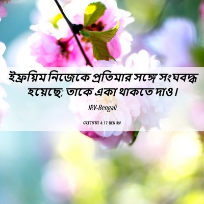 Picture 06 - হোচেয়া 4:17 BENIRV - ইফ্রয়িম নিজেকে - Bible Verse Picture