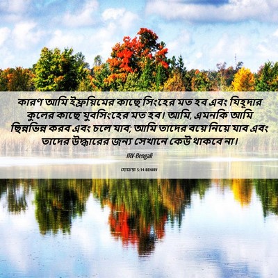 Picture 06 - হোচেয়া 5:14 BENIRV - কারণ আমি - Bible Verse Picture