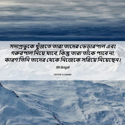 Picture 06 - হোচেয়া 5:6 BENIRV - সদাপ্রভুকে খুঁজতে - Bible Verse Picture