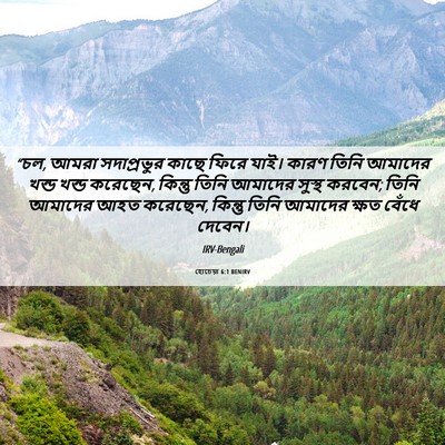 Picture 06 - হোচেয়া 6:1 BENIRV - “চল, আমরা - Bible Verse Picture
