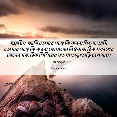 Picture 06 - হোচেয়া 6:4 BENIRV - ইফ্রয়িম, আমি - Bible Verse Picture