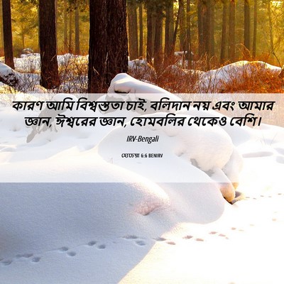 Picture 06 - হোচেয়া 6:6 BENIRV - কারণ আমি - Bible Verse Picture