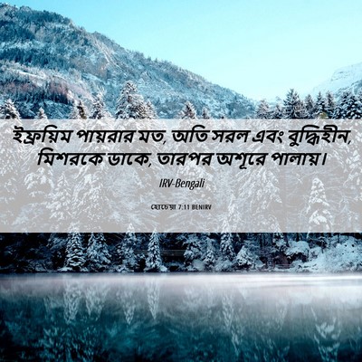 Picture 06 - হোচেয়া 7:11 BENIRV - ইফ্রয়িম পায়রার - Bible Verse Picture