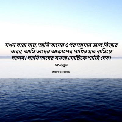 Picture 06 - হোচেয়া 7:12 BENIRV - যখন তারা যায়, আমি - Bible Verse Picture