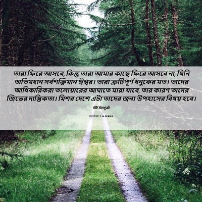 Picture 06 - হোচেয়া 7:16 BENIRV - তারা ফিরে আসবে, - Bible Verse Picture