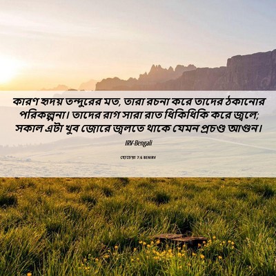 Picture 06 - হোচেয়া 7:6 BENIRV - কারণ হৃদয় - Bible Verse Picture