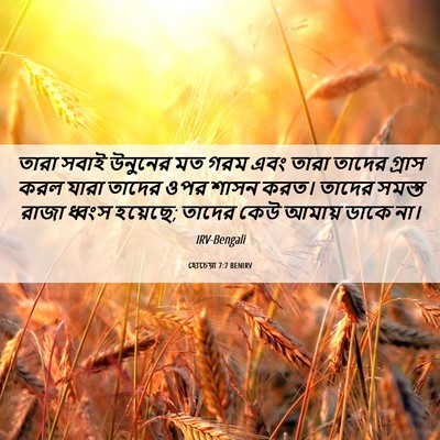 Picture 06 - হোচেয়া 7:7 BENIRV - তারা সবাই উনুনের - Bible Verse Picture