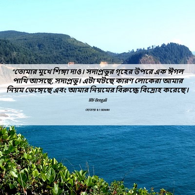Picture 06 - হোচেয়া 8:1 BENIRV - “তোমার মুখে - Bible Verse Picture