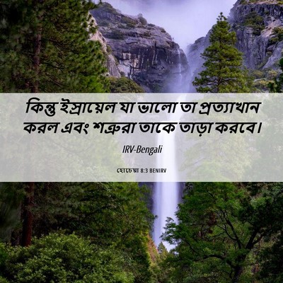 Picture 06 - হোচেয়া 8:3 BENIRV - কিন্তু ইস্রায়েল - Bible Verse Picture