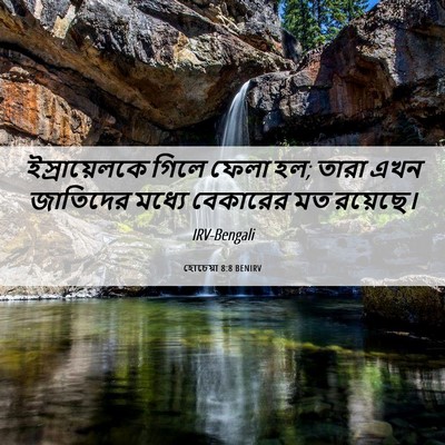 Picture 06 - হোচেয়া 8:8 BENIRV - ইস্রায়েলকে গিলে - Bible Verse Picture