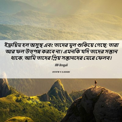 Picture 06 - হোচেয়া 9:16 BENIRV - ইফ্রয়িম হল - Bible Verse Picture