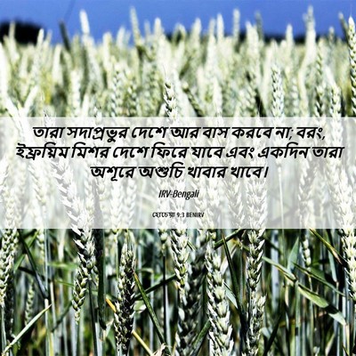 Picture 06 - হোচেয়া 9:3 BENIRV - তারা সদাপ্রভুর - Bible Verse Picture