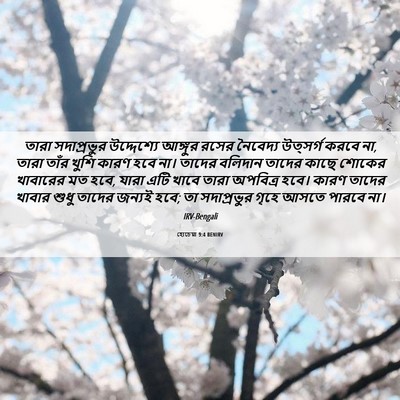 Picture 06 - হোচেয়া 9:4 BENIRV - তারা সদাপ্রভুর - Bible Verse Picture