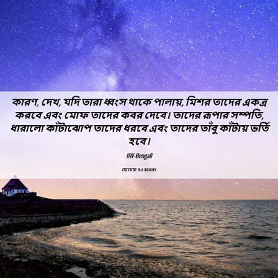 Picture 06 - হোচেয়া 9:6 BENIRV - কারণ, দেখ, যদি তারা - Bible Verse Picture