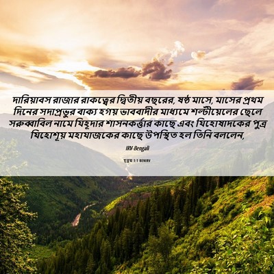 Picture 06 - হ্গ্গয় 1:1 BENIRV - দারিয়াবস রাজার - Bible Verse Picture