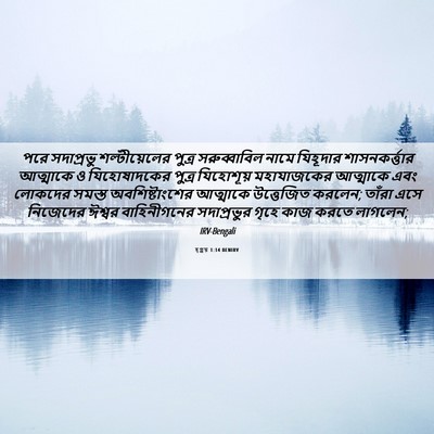 Picture 06 - হ্গ্গয় 1:14 BENIRV - পরে সদাপ্রভু - Bible Verse Picture