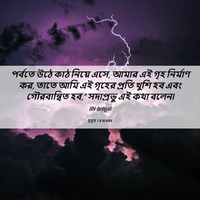 Picture 06 - হ্গ্গয় 1:8 BENIRV - পর্বতে উঠে কাঠ - Bible Verse Picture