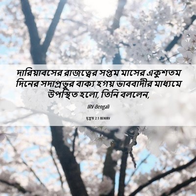 Picture 06 - হ্গ্গয় 2:1 BENIRV - দারিয়াবসের - Bible Verse Picture