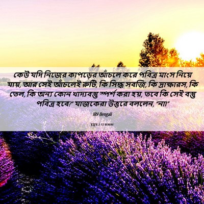 Picture 06 - হ্গ্গয় 2:12 BENIRV - কেউ যদি নিজের - Bible Verse Picture